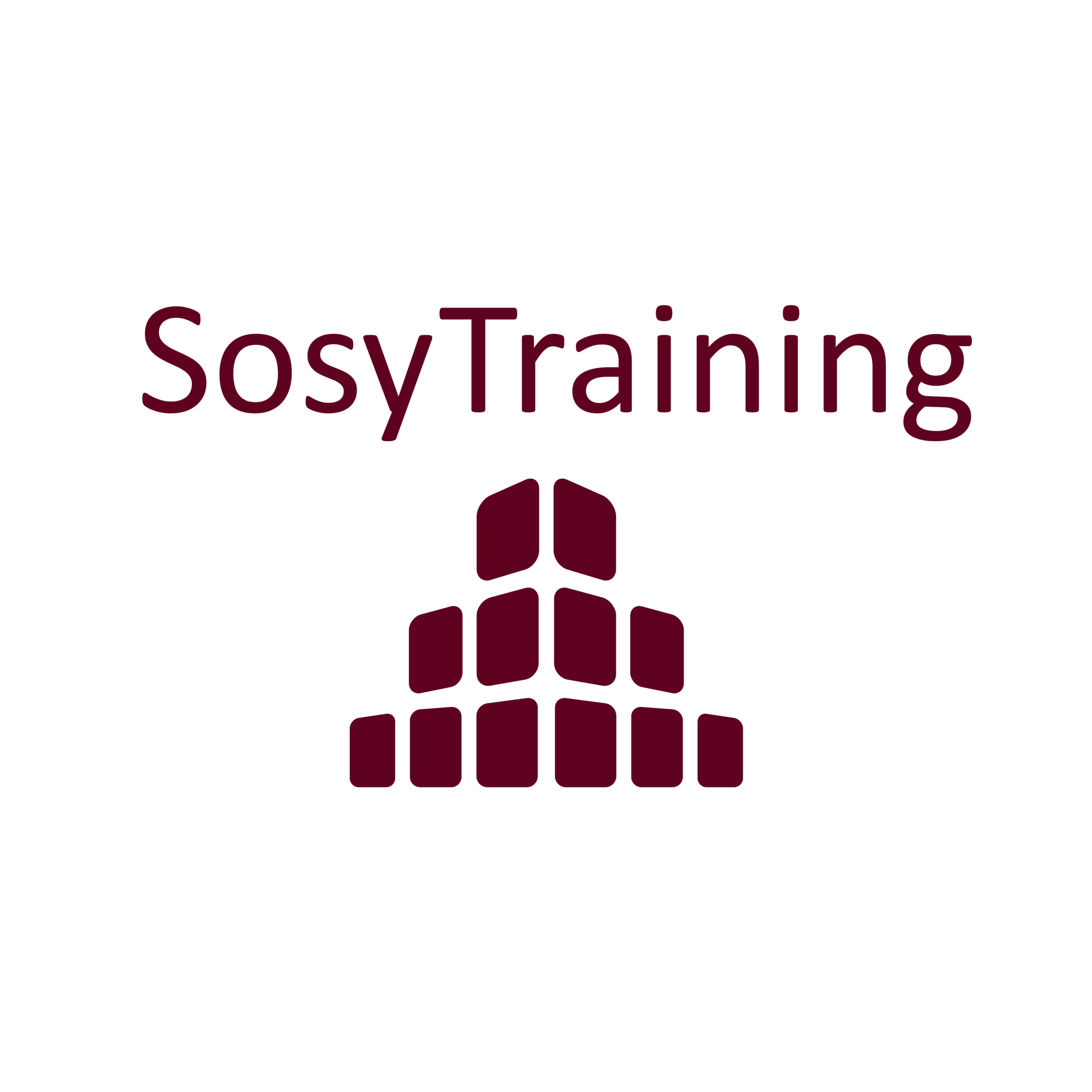 Sosy Training